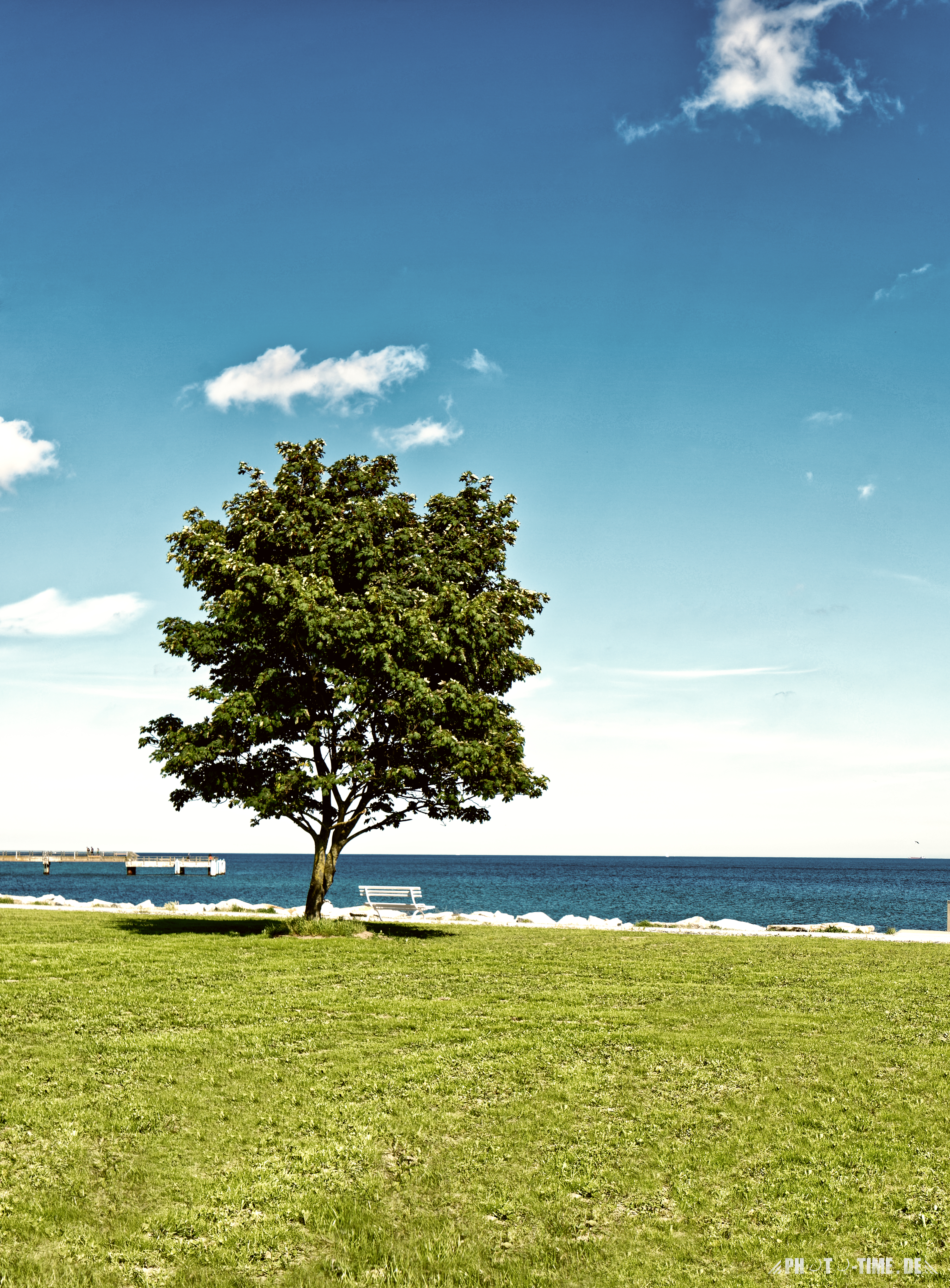 photo